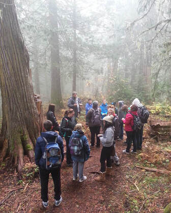 students gathered around an ancient cedar tree